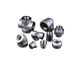 Hastelloy Fittings